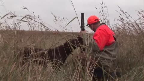 What is Pheasants Forever?