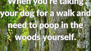 Today's Poop Doop - The Sames