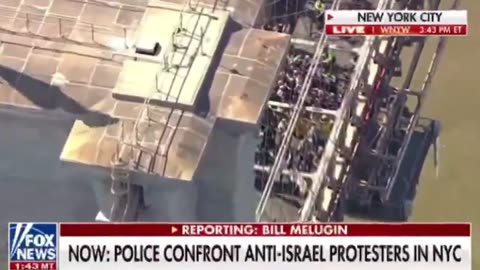 JUST IN: Pro-Palestine protesters have stormed the Brooklyn Bridge & are blocking traffic