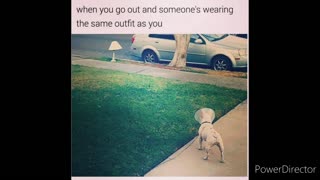 Laugh Your Head Off Dog Memes