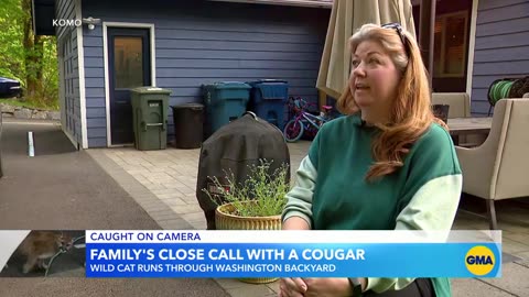 Family has encounter with cougar in backyard of home ABC News