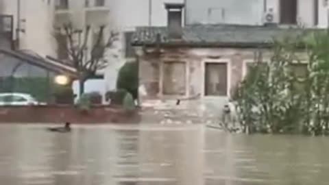 🌧️Heavy rains caused major floods in Vicenza,Italy