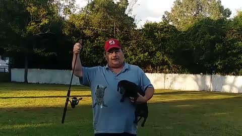 Dachshund fishing