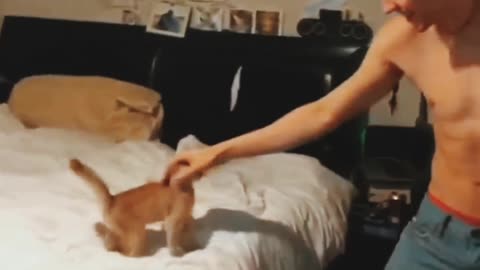 Not seen before this awesome video of these cutest pets 😍