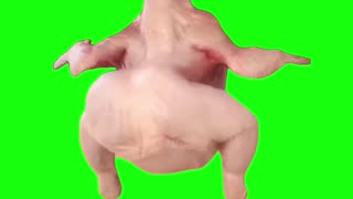 Chicken Dancing to Waka Waka | Green Screen