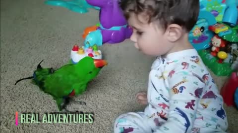 CUTE BABIES PLAYING ANIMALS ?? CATS | DOGS | BIRDS | ENDANGERED | COMPILATION