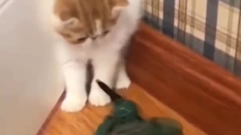 Funny Cute Cat Gets Scared With Soldier Toy