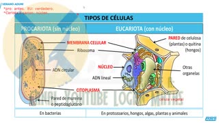 VERANO ADUNI 2023 | Semana 02 | Química P2 | Biología