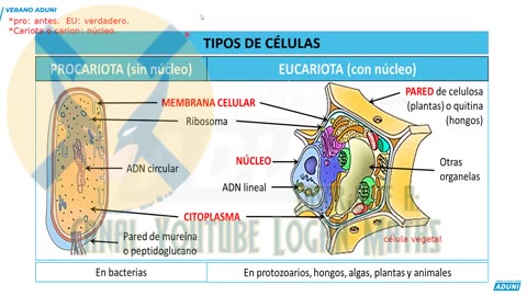 VERANO ADUNI 2023 | Semana 02 | Química P2 | Biología