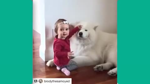Cute Babies Playing With Dogs Compilation #1- Funny Baby And Pets