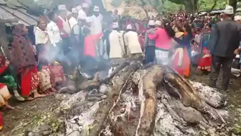 Hindu Devotees are walking through fire 🔥
