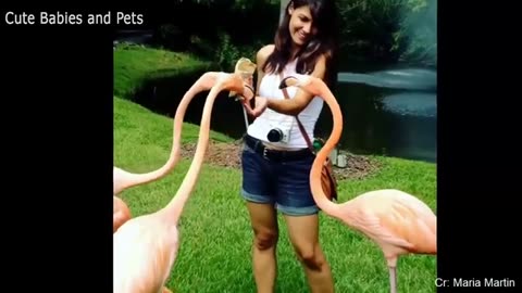 FUNNY ANIMAL SCARING PEOPLE