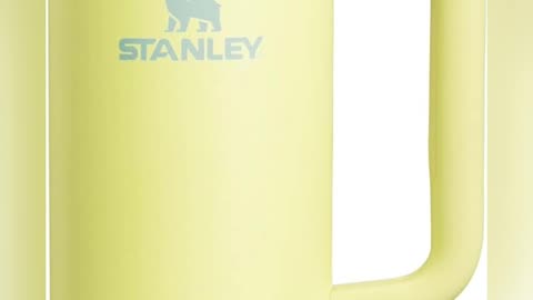 Stanley Steel Vacuum Insulated Tumbler with Lid and Straw for Water