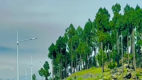 Mansehra Hazara Motorway Today View