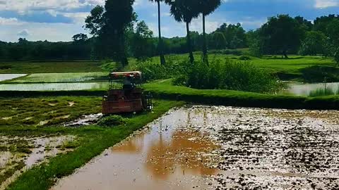 Indian Village farming session 🏞️ Indian Village Life