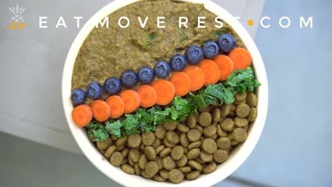 Homemade-Healthy Vegan Dog Food