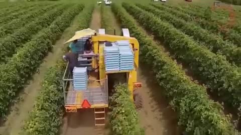 Modern agricultural machinery, incredible technology that changes the world