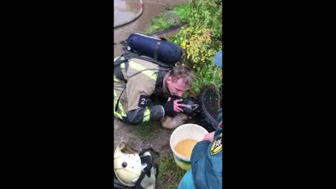 Hero Firefighter Uses Oxygen Mask To Save Dog