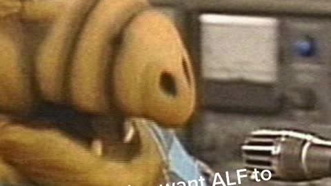 Did you love ALF?