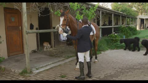 African American man ready to ride Dressage horse