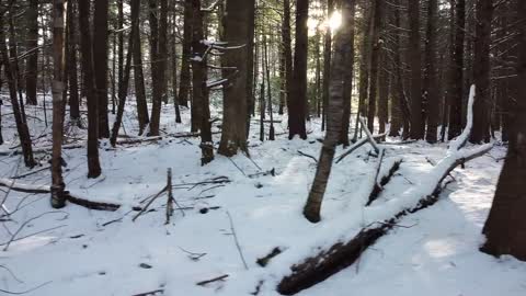 Snows of southern Russia