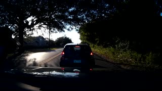 Driver stops vehicle in middle of street to check phone