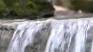 The sound of the forest, the sound of water trickling, and the chirping of birds, a short video