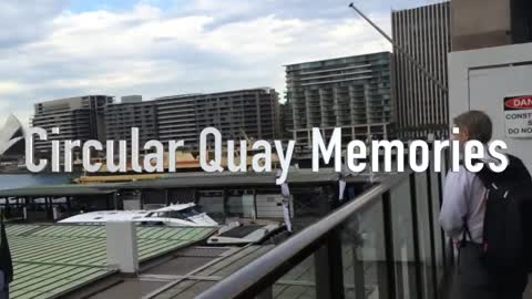 Circular Quay memory (Daisy a day)