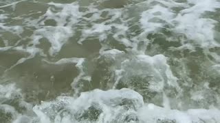 Curtindo uma tarde na praia de Quatro Ilhas, Bombinhas - SC | Som Ambiente