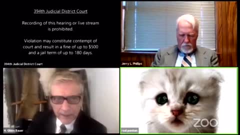 I'm Not A Cat - Court Case Cat Filter - Symbolic Of Our Disturbing Virtual World of FAKE EVERYTHING