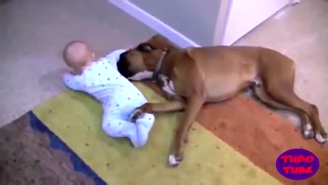 Adorable Babies Playing With Dogs and Cats