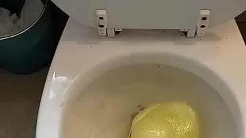 Don't flush your money down the toilet!!!