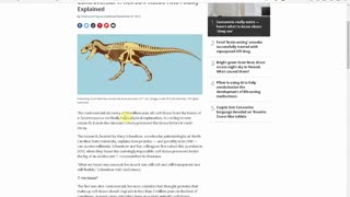 BELIEVING IN THE BIBLE IS NOT AS STUPID AS YOU THINK! Dinosaur remains still have soft tissue