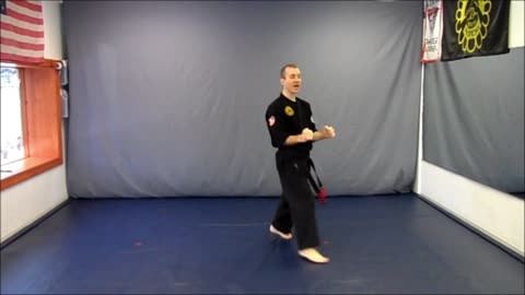 Basic Skillz Gold Belt - Black Stripe