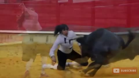 Bull fight Video _ Funny Bull fight Video _ Brave Girls Bull Fight _ Watch and Like _