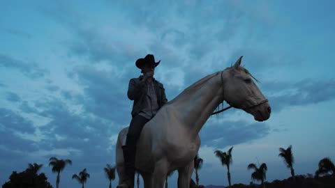 Man sitting on white horse