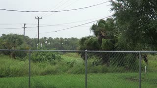 Hurricane Irma Hits Florida!!!