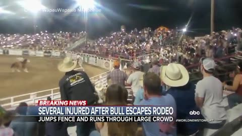 Bull escapes ring at Oregon rodeo ABC News