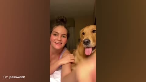 Best funny moments dogs video #1