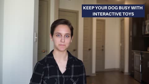Having a Dog in an Apartment - Quick Tips.