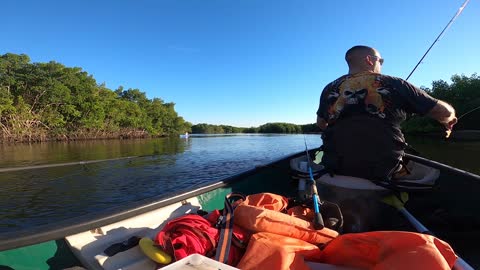 Light Tackle Backwater Fishing after a Cold Front