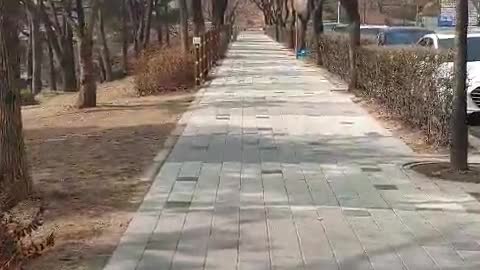 Korea river walk