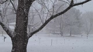 January snow in western NY