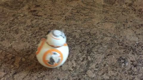 The BB8 Droid