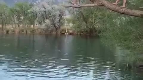 Rope Swing Leads to Lake Flop