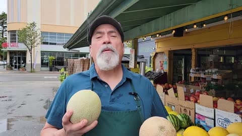 Picking a Cantaloupe Winter vs Summer