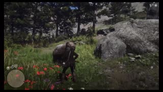 Red Dead Redemption 2 - Random Moments Compilation #5.5