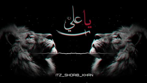 Shah e Mardan Ali - NFAK || Remix Bass Boosted