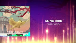 Toxic Nobility - Song Bird | Music Visualizer