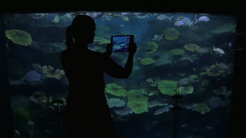 Young woman at the oceanarium take pictures